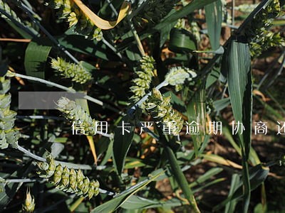 信用卡严重逾期协商还款 信用卡严重逾期协商还款