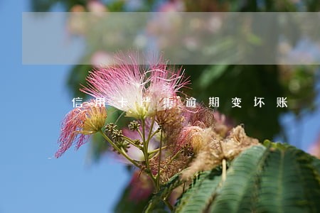 信用卡严重逾期变坏账 信用卡严重逾期变坏账
