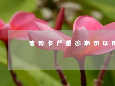 信用卡严重逾期可以用公积金还吗
