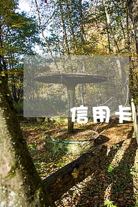 信用卡严重逾期可以考公务员吗 信用卡严重逾期可以考公务员吗