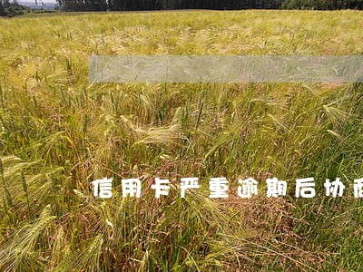 信用卡严重逾期后协商罚金后