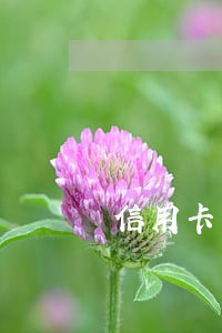信用卡严重逾期后如何还款 信用卡严重逾期后如何还款