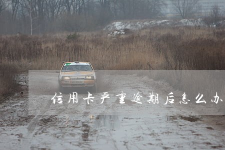 信用卡严重逾期后怎么办 信用卡严重逾期后怎么办