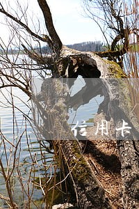 信用卡严重逾期后果10万