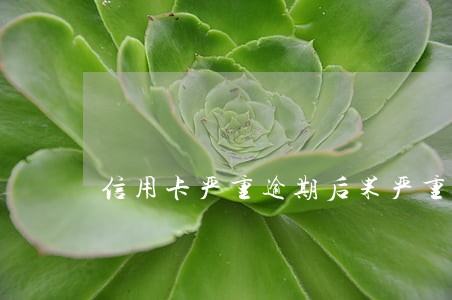 信用卡严重逾期后果严重吗 信用卡严重逾期后果严重吗