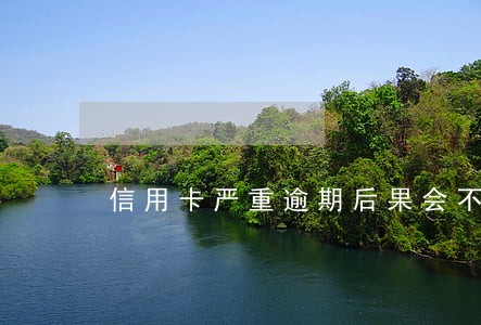 信用卡严重逾期后果会不会上门