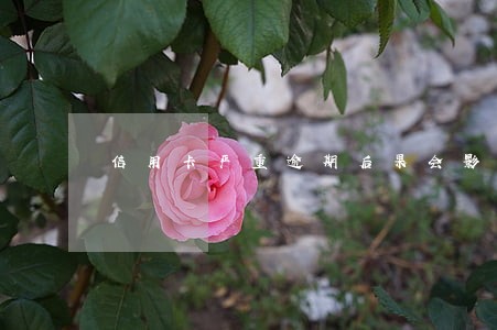 信用卡严重逾期后果会影响工作吗 信用卡严重逾期后果会影响工作吗