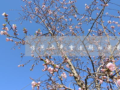 信用卡严重逾期后果最新上海 信用卡严重逾期后果最新上海