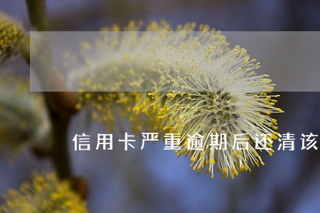 信用卡严重逾期后还清该怎么办 信用卡严重逾期后还清该怎么办