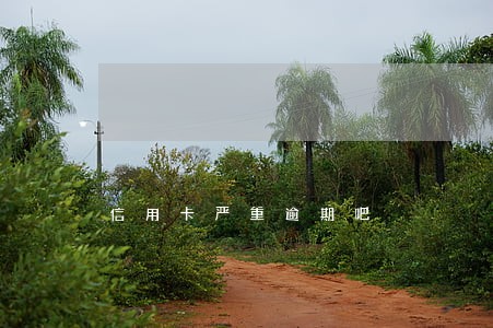 信用卡严重逾期吧 信用卡严重逾期吧