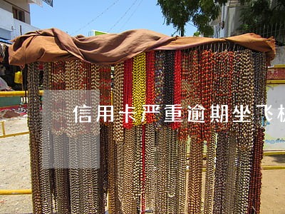 信用卡严重逾期坐飞机