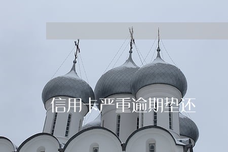 信用卡严重逾期垫还