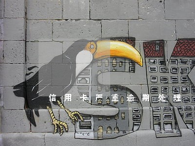 信用卡严重逾期处理 信用卡严重逾期处理