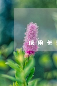 信用卡严重逾期多久会被立案 信用卡严重逾期多久会被立案