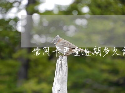 信用卡严重逾期多久能办理信用卡 信用卡严重逾期多久能办理信用卡