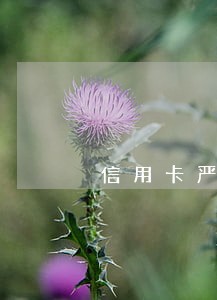 信用卡严重逾期多久能恢复正常 信用卡严重逾期多久能恢复正常