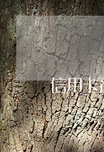 信用卡严重逾期如何快速解决 信用卡严重逾期如何快速解决