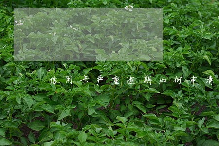 信用卡严重逾期如何申请网贷 信用卡严重逾期如何申请网贷