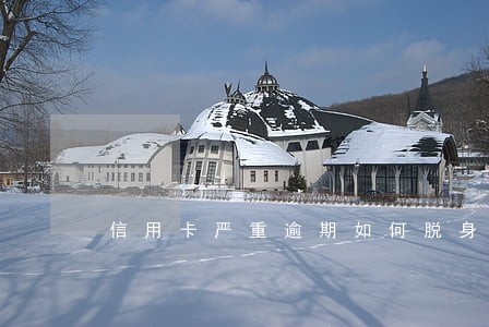 信用卡严重逾期如何脱身