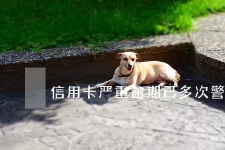 信用卡严重逾期已多次警告 信用卡严重逾期已多次警告