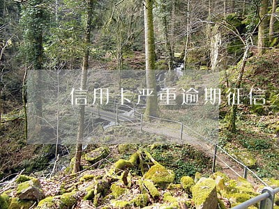 信用卡严重逾期征信