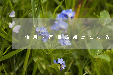 信用卡严重逾期怎么办贷款 信用卡严重逾期怎么办贷款