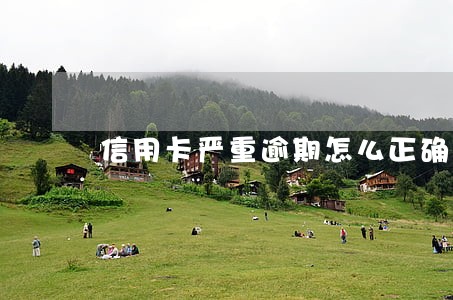 信用卡严重逾期怎么正确处理 信用卡严重逾期怎么正确处理