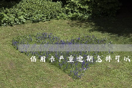 信用卡严重逾期怎样可以减息 信用卡严重逾期怎样可以减息