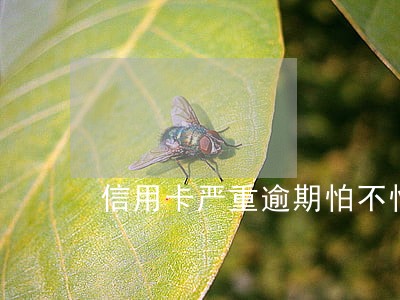 信用卡严重逾期怕不怕 信用卡严重逾期怕不怕