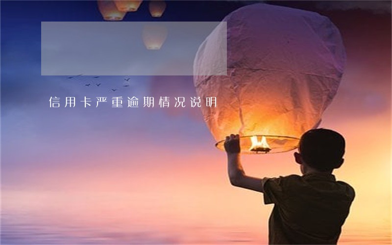 信用卡严重逾期情况说明