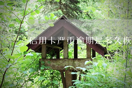 信用卡严重逾期是多久恢复正常