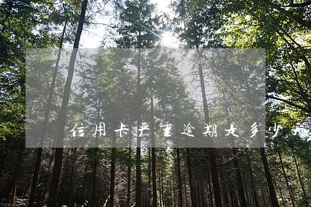信用卡严重逾期是多少天