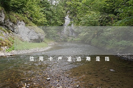 信用卡严重逾期是指 信用卡严重逾期是指