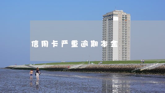 信用卡严重逾期本金 信用卡严重逾期本金