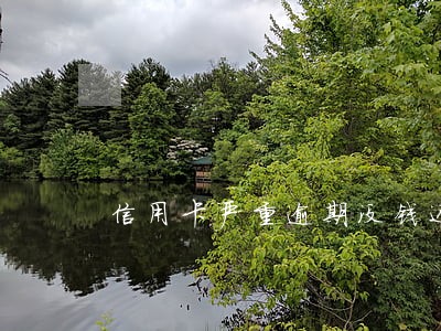 信用卡严重逾期没钱还怎么办 信用卡严重逾期没钱还怎么办
