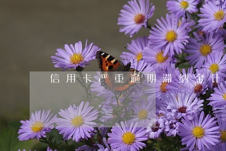 信用卡严重逾期滞纳金计算方式 信用卡严重逾期滞纳金计算方式
