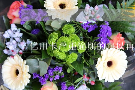信用卡严重逾期的可以再申请吗