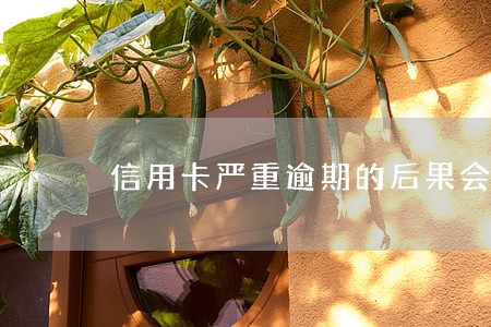 信用卡严重逾期的后果会坐牢吗