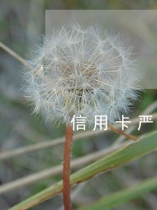 信用卡严重逾期的后果被银行起诉 信用卡严重逾期的后果被银行起诉