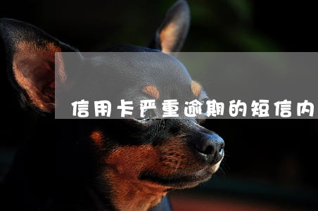 信用卡严重逾期的短信内容 信用卡严重逾期的短信内容