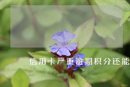 信用卡严重逾期积分还能用吗 信用卡严重逾期积分还能用吗