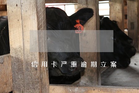信用卡严重逾期立案 信用卡严重逾期立案