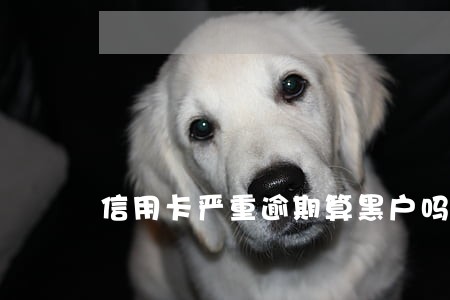 信用卡严重逾期算黑户吗 信用卡严重逾期算黑户吗