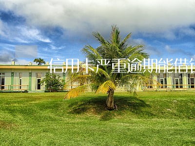 信用卡严重逾期能借钱的app 信用卡严重逾期能借钱的app