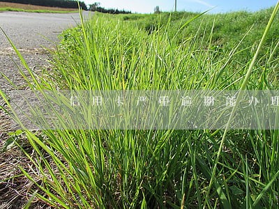 信用卡严重逾期能办理网贷吗