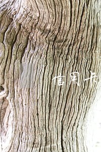 信用卡严重逾期能办网贷吗 信用卡严重逾期能办网贷吗