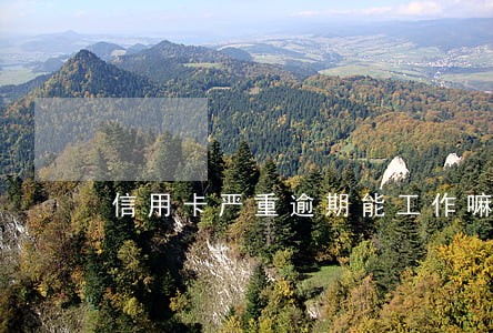 信用卡严重逾期能工作嘛