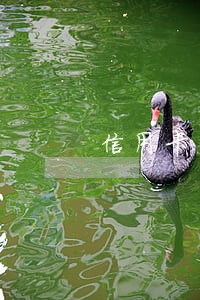 信用卡严重逾期自首 信用卡严重逾期自首