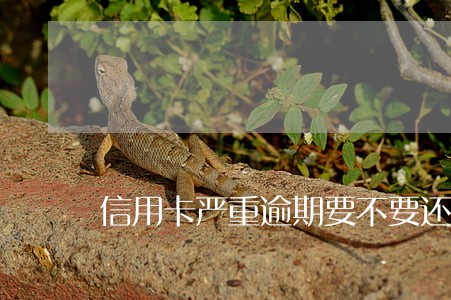 信用卡严重逾期要不要还