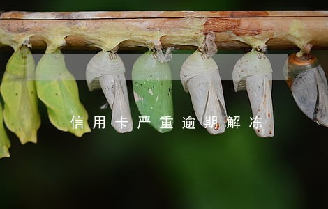 信用卡严重逾期解冻